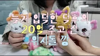 20억 쓴 늦덕의 엔시티위시 위시돌 깡