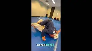 Head underhook half guard pass #bjj #grappling #combatives #selfdefense #deedsofarms #taclete 