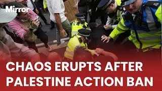 Palestine Action protesters clash with police in CHAOS near Trafalgar Square
