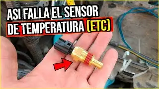 5 Failures of the ETC Temperature Sensor (What It Does to Your ENGINE)