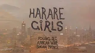 Young DLC - Harare Girls ft. African Wine x Shona Prince (Lyric Video)