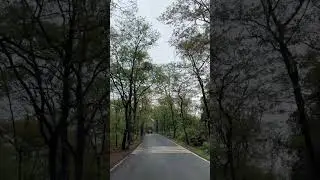 The road  of barvi dam