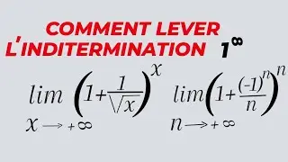 COMMENT LEVER L IN DÉTERMINATION .