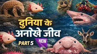 Mysterious Creatures on Earth | part -5 in hindi