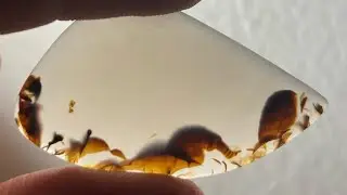 Making My First Cabochon! Spot The Seahorse!!