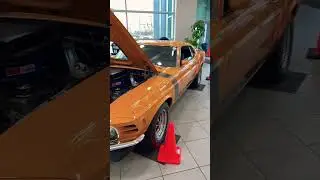 Mustang 📸BOSS 302 #shorts