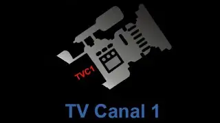 Transmisi&oacute;n en vivo de Canal 1 de Televisi&oacute;n  Digital Mar del Plata
