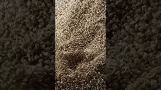 Flip Rocks with X-Particles.