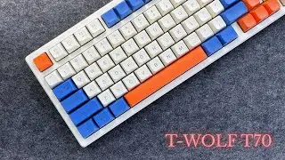 T-WOLF T70 3500 BDT / 30$ Trimode RGB Full Hotswappable Mechanical Keyboard (White)