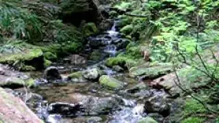 Ohanapecosh Waterfall