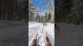 Bucket List Winter Adventure: Dog Sledding in Quebec