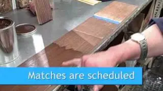 Stain Match with Paule, 5-10.wmv
