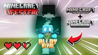 How I Joined The Deadliest LifeSteal SMP...