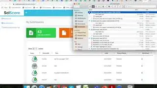 SciScore.com Demo