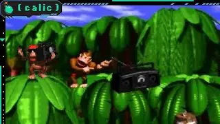 Donkey Diddy Konky Donk