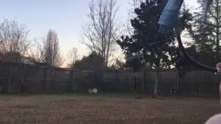 Vicious Geo 3 Shooting Video