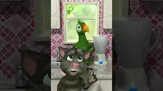 Talking Pierre the Parrot  