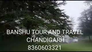CHANDIGARH TO SHIMLA TOUR PACKAGES CALL FOR BOOKING 8360603321 #triptohimachal #shimlamanalitour