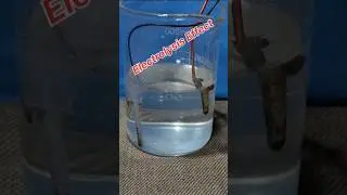 Salt Water + Battery = Electrolysis Experiment 🔥⚡#viralshort science experiment