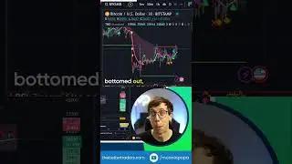 Which Crypto Chart is Best?