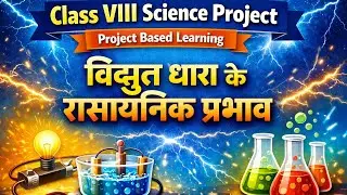 Class : VIII Science Project Based Learning  : विद्युत धारा के रासायनिक प्रभाव   #PBL