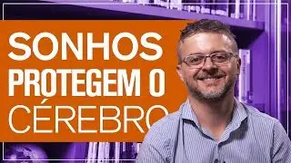 Por que sonhar à noite é importante?