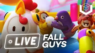 Fall Guy Live Game Play