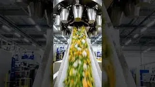 INSIDE FOOD FACTORY: HOW FROZEN FOODS ARE MADE!