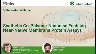 Synthetic Co-Polymer Nanodisc Enabling Near-Native Membrane Protein Assays