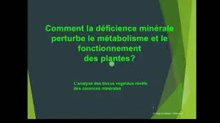 Cours Chapitre II (Partie III)  Nutrition minérale des plantes supérieures