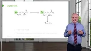 06  Clinical Biochemistry