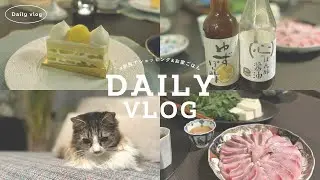 【日常VLOG】 # 47 家族でお買い物🛍️三越購入品紹介/鰤しゃぶ🐟簡単ごまだれレシピ/おすすめ調味料/パレスホテルケーキ/食器・テーブルコーディネート紹介/スキンケア・ヘアケアアイテム紹介