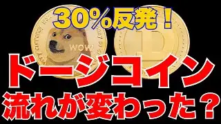 【ドージコイン】建玉倍増とETF流入で30％反発｜2026年展望を予想