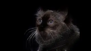 ЭФФЕКТ FRACTALIUS