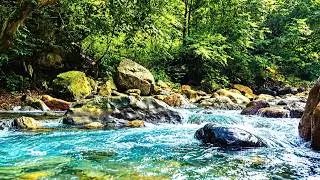 🌊🌿 Peaceful Jungle River Flow | Relaxing Nature Sounds of Water and Forest Ambience ✨