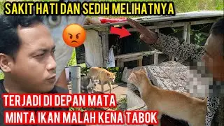 Astagfirullah Kucing minta Sedikit Ikan Malah Kena Di Tabokk 😭