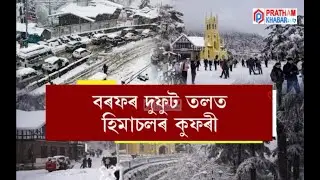 হিমাচল প্ৰদেশৰ কুফৰী, ছিমলা, মানালীত প্ৰচণ্ড তুষাৰপাত