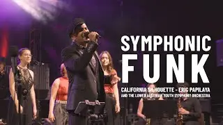 What Happens When Pop Meets Symphony?