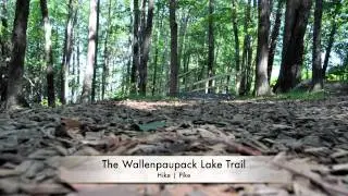 Summer in Pike County, PA in the Pocono Mountains
