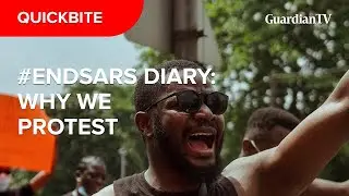 #EndSars Diary: Why we protest