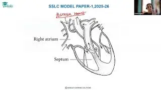 Model Question paper 1 - Science  - EM - Qno 37