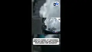 Deputy opens fire on car after mistaking falling acorn for gunshot