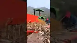 Una demostración del nuevo molino #20 con tolva para moler rastrojo de maíz 🌽