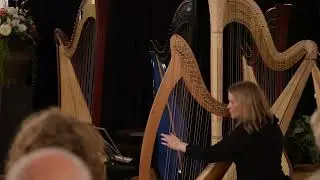 Passion on Henrik Schupp Delphin Harp live from @ZingendeSnaarHarpen #livemusic #harp #concert
