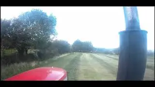 silage 18