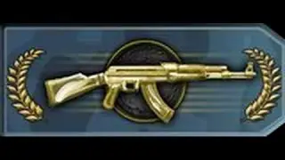 This is Master Guardian 2  CS:GO