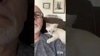 Baby Rescue.First 24 hours before the Vet Visit. Sick Little Girl
