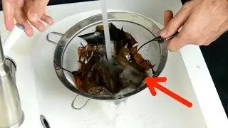 A folha fica quase transparente com apenas 3 ingredientes. Faça coisas incríveis com ela!