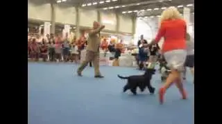 WDS'14 Helsinki / Miracle Wizard Spell Style Of Mary/ females champion class