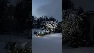 Time to say lights goodbye 🫦 #music #asmr #snow #lifeisbutadream #winter